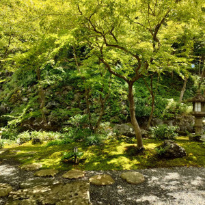 庭園|672618さんの高台寺ひらまつ（ひらまつウエディング）の写真(1885543)