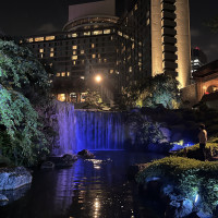 夜の庭園