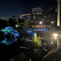 夜の庭園