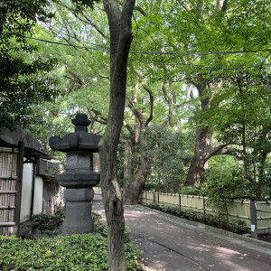 昼の庭園|673247さんのホテルニューオータニの写真(2525521)