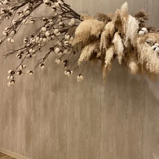 撮影できます。