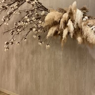 撮影できます。