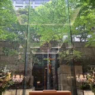 緑があり、陽の光が気持ちいい