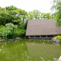 池の向こうにチャペル有