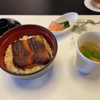 うなぎご飯