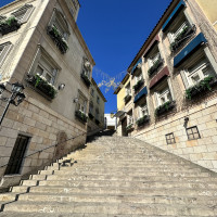 閑静な住宅街に佇む会場は、この大階段が一際目を引きます。