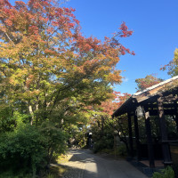 色付きはじめの紅葉