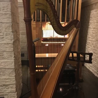 ハープ演奏
