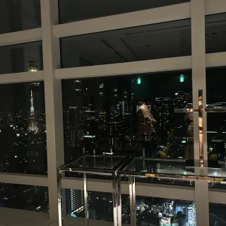 東京の景色を一望できます