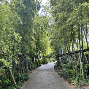庭園です|675761さんのThe Okura Tokyo（オークラ東京）の写真(1907430)