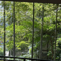 京都っぽい竹林が見えるテラス