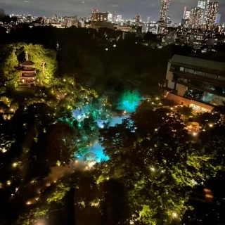 ホテルのお部屋からの庭園の様子