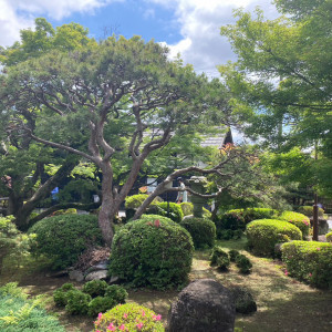 日本庭園|676484さんの藤右ェ門の写真(1912431)