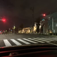 夜はライトアップされており雰囲気が一変。