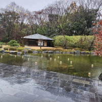 日本庭園風のお庭。この日は雨でしたがそれでも雰囲気はいいです