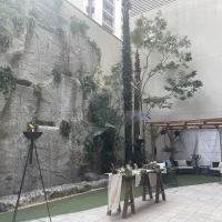 見学会時のガーデンの写真です