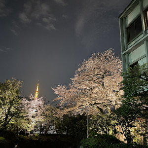 4月の桜ライトアップ|677002さんの国際文化会館（International House of Japan）の写真(1917679)
