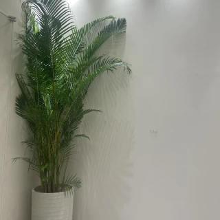 控室