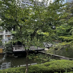 家族みんなで写真が撮れる。|677802さんの東郷神社・ルアール東郷の写真(1932559)