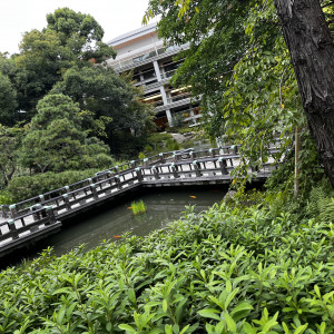 緑がいっぱい。|677802さんの東郷神社・ルアール東郷／ラ・グランド・メゾン HiroyukiSAKAIの写真(1932553)