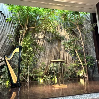 サウンドホール