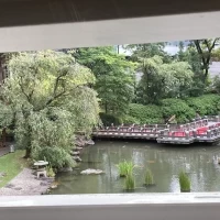 窓から見た参進道。参進時のみ赤絨毯が引かれるようです