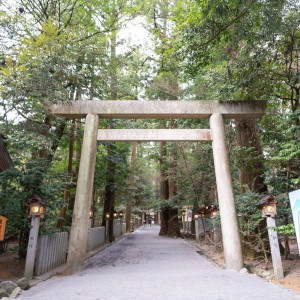ここを通ります。|677878さんの椿大神社 椿会館の写真(1924680)
