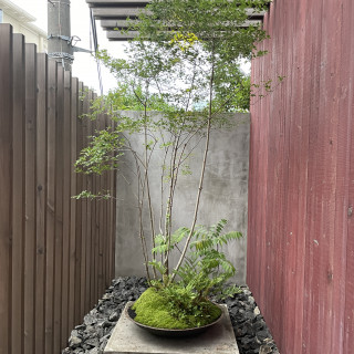 入り口の植物は季節によって毎回変わっていました。