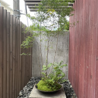 入り口の植物は季節によって毎回変わっていました。