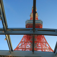 天井から東京タワーが見えます