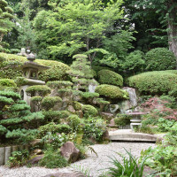 披露宴会場から見える日本庭園。