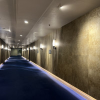 廊下。青の絨毯にゴールドの壁。重厚感があります。