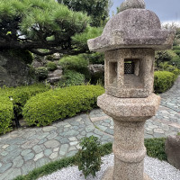 日本庭園素敵すぎます。