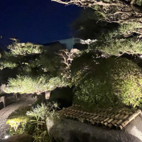 夜の日本庭園。