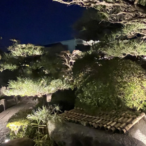 夜の日本庭園。|678431さんの葵庭園の写真(2005145)