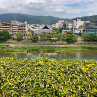 屋外テラスからの景色