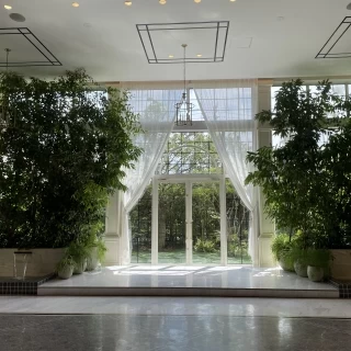 本物の植物で雰囲気が良い。
写真映えしそう！