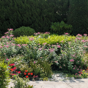 ガーデンには素敵なお花がたくさん植えられています。|678743さんのガーデンテラス福岡ホテル&リゾートの写真(2165078)