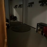 そんなに広くはなかったですが二つありました