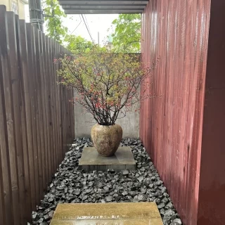 入り口にあるお花。