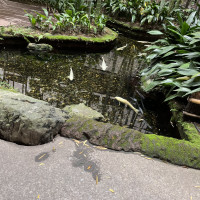 池