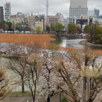 会場からの景色