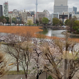 会場からの景色|679520さんのLUCIS（ルーキス）の写真(2421598)