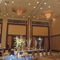 天井が高いので照明演出が映えます
