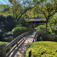 日本庭園もあり、和装が映えそうです。
