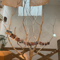 ウェルカムスペースです