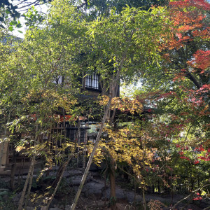 庭|680897さんのアカガネリゾート京都東山（AKAGANE RESORT KYOTO HIGASHIYAMA）の写真(1950348)