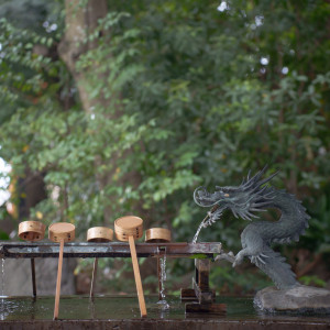 神社内|680915さんの川越氷川神社・氷川会館の写真(2329265)