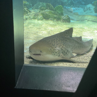 挙式会場（水族館）ゲスト席からの眺め