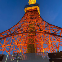 18時頃の東京タワーライトアップ